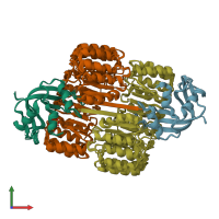 PDB entry 2q4g coloured by chain, ensemble of 8 models, front view.