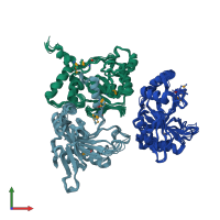 PDB entry 2q4k coloured by chain, ensemble of 16 models, front view.