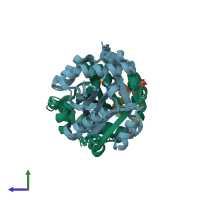 PDB entry 2q4v coloured by chain, ensemble of 8 models, side view.