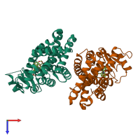 Hetero dimeric assembly 1 of PDB entry 2q59 coloured by chemically distinct molecules, top view.