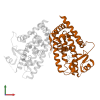 Peroxisome proliferator-activated receptor gamma in PDB entry 2q59, assembly 1, front view.