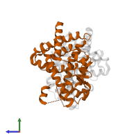 Peroxisome proliferator-activated receptor gamma in PDB entry 2q59, assembly 1, side view.