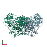 PDB entry 2q5q coloured by chain, front view.