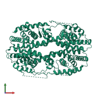 Homo tetrameric assembly 1 of PDB entry 2q60 coloured by chemically distinct molecules, front view.