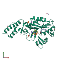 PDB entry 2q7g coloured by chain, front view.