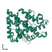 Androgen receptor in PDB entry 2q7i, assembly 1, front view.