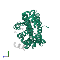 Androgen receptor in PDB entry 2q7i, assembly 1, side view.