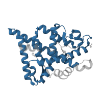 The deposited structure of PDB entry 2q7j contains 1 copy of Pfam domain PF00104 (Ligand-binding domain of nuclear hormone receptor) in Androgen receptor. Showing 1 copy in chain A.