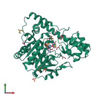 PDB entry 2q7w coloured by chain, front view.
