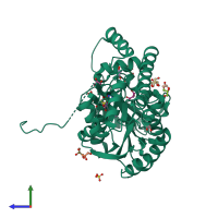 PDB entry 2q7w coloured by chain, side view.