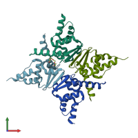 PDB entry 2q81 coloured by chain, front view.