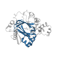 The deposited structure of PDB entry 2q8c contains 2 copies of Pfam domain PF02373 (JmjC domain, hydroxylase) in Lysine-specific demethylase 4A. Showing 1 copy in chain A.