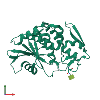PDB entry 2q8w coloured by chain, front view.