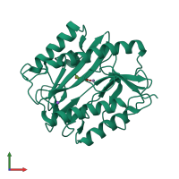 PDB entry 2q95 coloured by chain, front view.