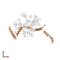 Toxofilin in PDB entry 2q97, assembly 1, front view.