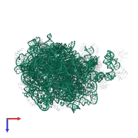 23S ribosomal RNA in PDB entry 2qa4, assembly 1, top view.