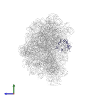 Large ribosomal subunit protein uL2 in PDB entry 2qa4, assembly 1, side view.