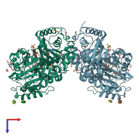 PDB entry 2qcu coloured by chain, top view.