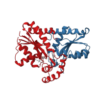 The deposited structure of PDB entry 2qd1 contains 8 copies of CATH domain 3.40.50.1400 (Rossmann fold) in Ferrochelatase, mitochondrial. Showing 2 copies in chain A.