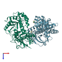 PDB entry 2qdd coloured by chain, top view.