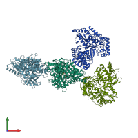 PDB entry 2qe5 coloured by chain, front view.