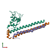 PDB entry 2qfa coloured by chain, front view.