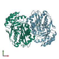 PDB entry 2qgy coloured by chain, front view.