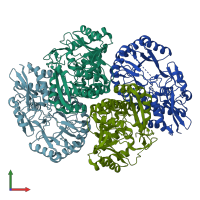 PDB entry 2qjj coloured by chain, front view.
