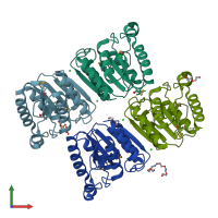 PDB entry 2qjw coloured by chain, front view.