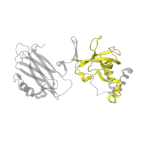 The deposited structure of PDB entry 2qki contains 2 copies of Pfam domain PF01759 (UNC-6/NTR/C345C module) in Complement C3c alpha' chain fragment 2. Showing 1 copy in chain F.