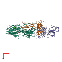 Hetero tetrameric assembly 2 of PDB entry 2qki coloured by chemically distinct molecules, top view.