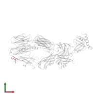 compstatin in PDB entry 2qki, assembly 1, front view.