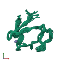 PDB entry 2ql0 coloured by chain, ensemble of 20 models, front view.