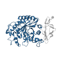 The deposited structure of PDB entry 2qmk contains 1 copy of CATH domain 3.20.20.80 (TIM Barrel) in Pancreatic alpha-amylase. Showing 1 copy in chain A.