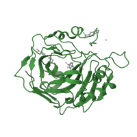 The deposited structure of PDB entry 2qoa contains 1 copy of SCOP domain 51070 (Carbonic anhydrase) in Carbonic anhydrase 2. Showing 1 copy in chain A.