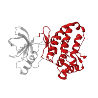 The deposited structure of PDB entry 2qoi contains 1 copy of CATH domain 1.10.510.10 (Transferase(Phosphotransferase); domain 1) in Ephrin type-A receptor 3. Showing 1 copy in chain A.
