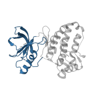 The deposited structure of PDB entry 2qoi contains 1 copy of CATH domain 3.30.200.20 (Phosphorylase Kinase; domain 1) in Ephrin type-A receptor 3. Showing 1 copy in chain A.