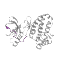 The deposited structure of PDB entry 2qoi contains 1 copy of Pfam domain PF14575 (Ephrin type-A receptor 2 transmembrane domain) in Ephrin type-A receptor 3. Showing 1 copy in chain A.