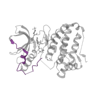 The deposited structure of PDB entry 2qoq contains 1 copy of Pfam domain PF14575 (Ephrin type-A receptor 2 transmembrane domain) in Ephrin type-A receptor 3. Showing 1 copy in chain A.