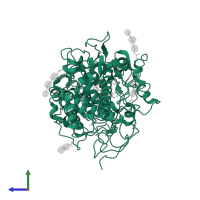 Lactoperoxidase in PDB entry 2qpk, assembly 1, side view.