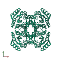 Homo tetrameric assembly 3 of PDB entry 2qq5 coloured by chemically distinct molecules, front view.