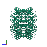 Homo tetrameric assembly 3 of PDB entry 2qq5 coloured by chemically distinct molecules, side view.