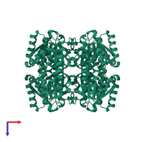 Homo tetrameric assembly 3 of PDB entry 2qq5 coloured by chemically distinct molecules, top view.
