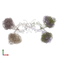 PDB entry 2qtj coloured by chain, ensemble of 10 models, front view.