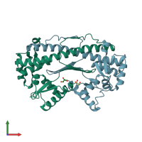 PDB entry 2quf coloured by chain, front view.