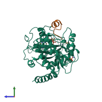 Hetero dimeric assembly 1 of PDB entry 2qur coloured by chemically distinct molecules, side view.