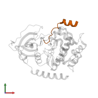 cAMP-dependent protein kinase inhibitor alpha in PDB entry 2qur, assembly 1, front view.