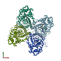PDB entry 2qut coloured by chain, front view.