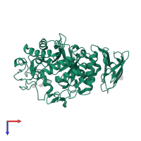 Pancreatic alpha-amylase in PDB entry 2qv4, assembly 1, top view.