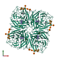 Homo tetrameric assembly 1 of PDB entry 2qwb coloured by chemically distinct molecules, front view.